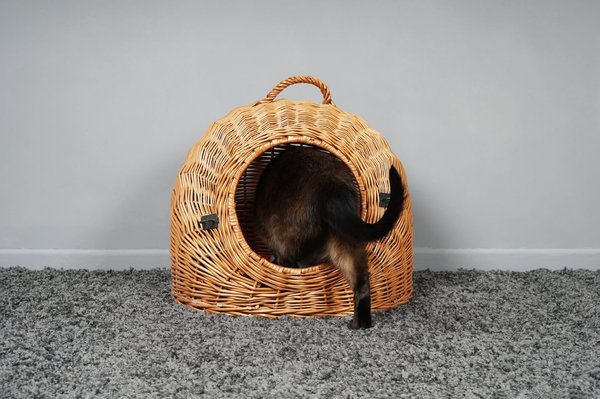 Quand design rencontre confort: les grottes pour chats innovantes