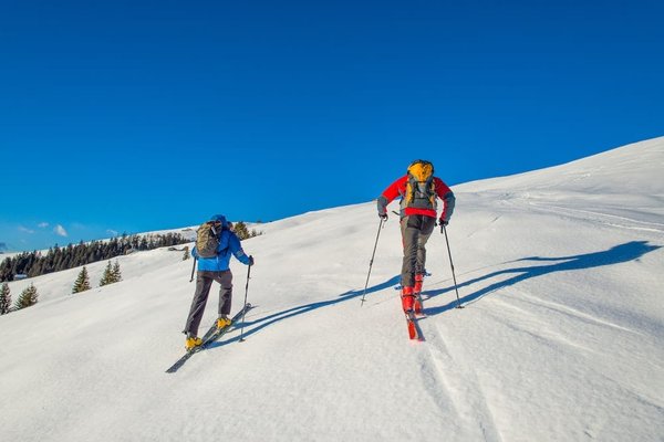 Quelles randonnées faire lors d'un camping au Pays Basque ?