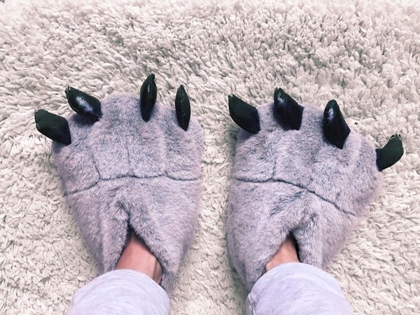 L'engouement pour les chaussons requin : La tendance qui monte en flèche !